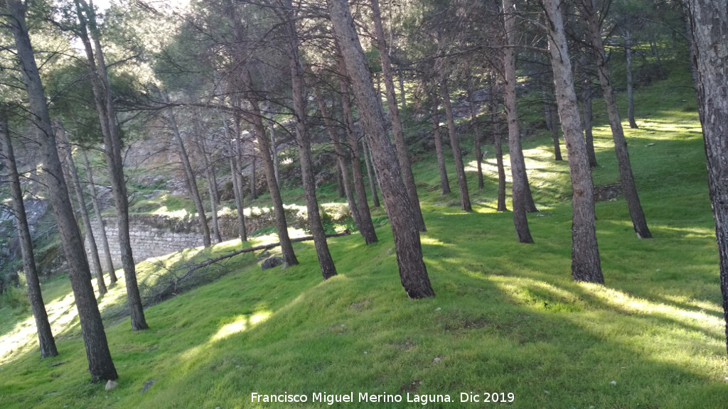 Parque Periurbano de Santa Catalina, Neveral, Imora - Parque Periurbano de Santa Catalina, Neveral, Imora. Ladera norte del Cerro de Santa Catalina