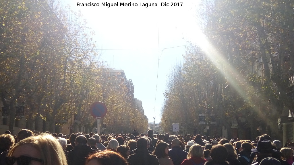 Paseo de la Estacin - Paseo de la Estacin. Manifestacin