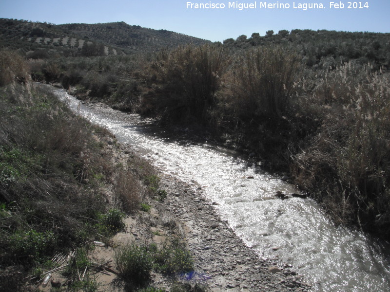 Arroyo Salado - Arroyo Salado. 