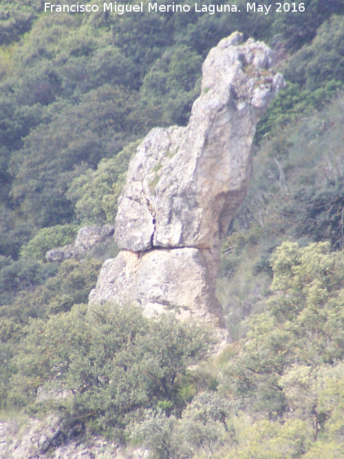 Piedra Virgen del Camello - Piedra Virgen del Camello. 