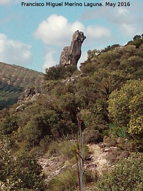 Piedra Virgen del Camello - Piedra Virgen del Camello. 