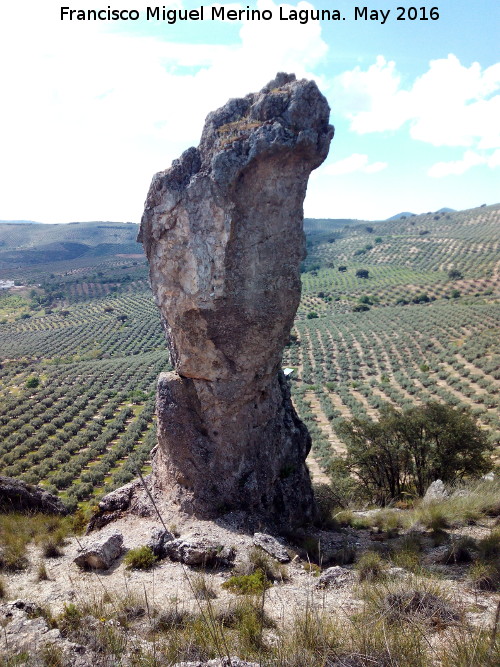 Piedra Virgen del Camello - Piedra Virgen del Camello. 