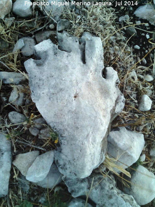 Curiosidades - Curiosidades. Piedra con la forma de una mano. El Contadero - Los Villares