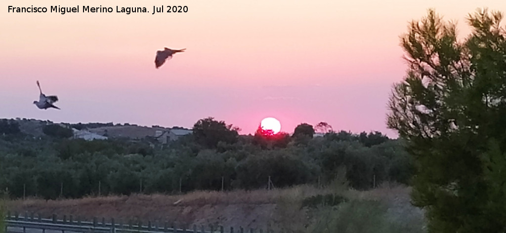 Sol - Sol. Los Molinas - Ja�n