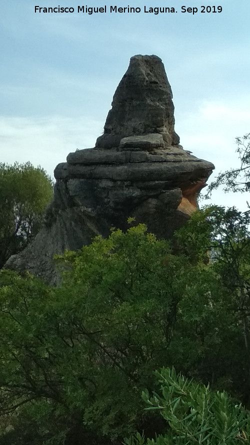 Cerro de la Condesa - Cerro de la Condesa. 