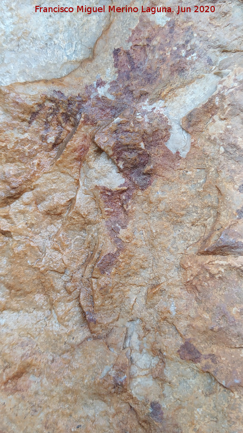 Pinturas rupestres del Abrigo del Almendro - Pinturas rupestres del Abrigo del Almendro. Figura de la izquierda