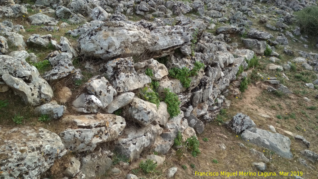 Oppidum de Giribaile. Gran Muralla - Oppidum de Giribaile. Gran Muralla. 