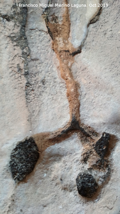 Pinturas rupestres del Abrigo de los Ca�ones IV - Pinturas rupestres del Abrigo de los Ca�ones IV. Cazoletas