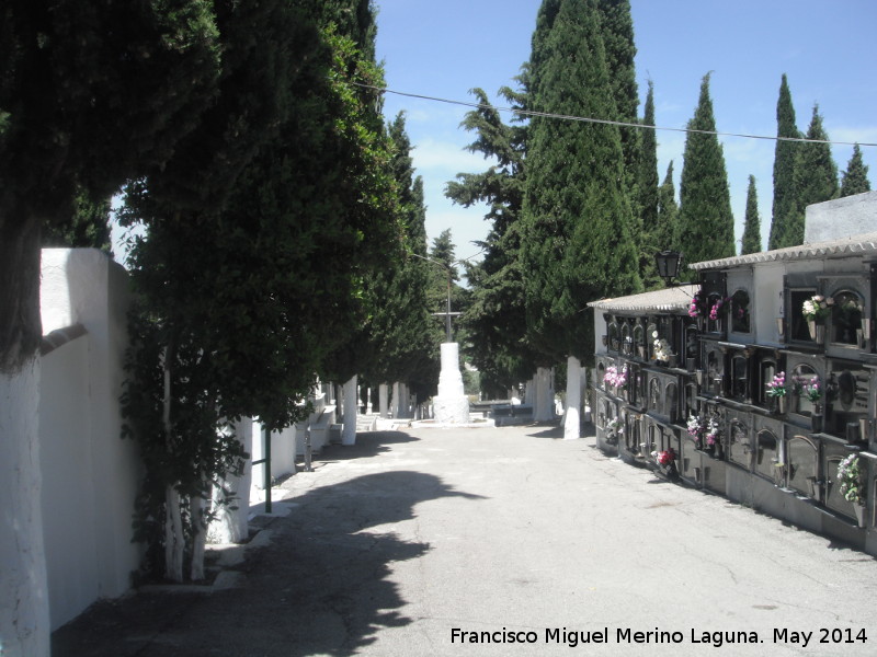 Cementerio de Jamilena - Cementerio de Jamilena. 