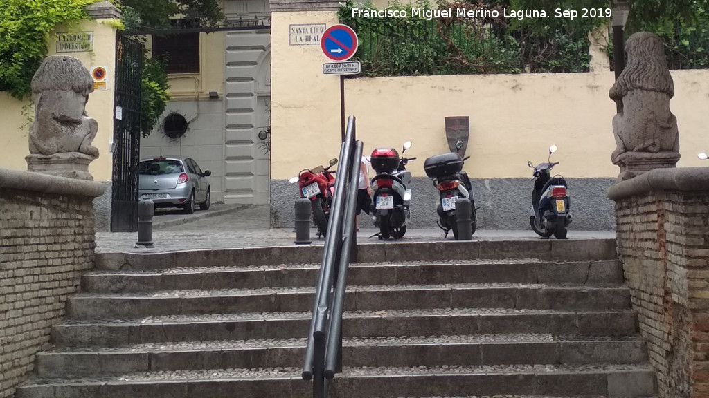 Leones de la Calle Palacios - Leones de la Calle Palacios. 