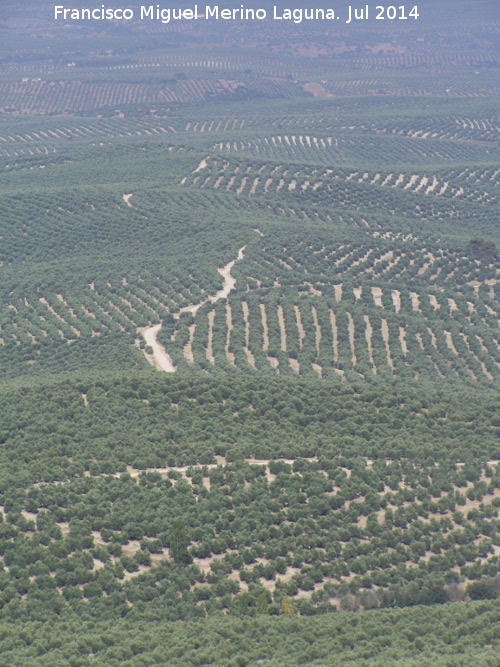 Camino del Capit�n - Camino del Capit�n. 