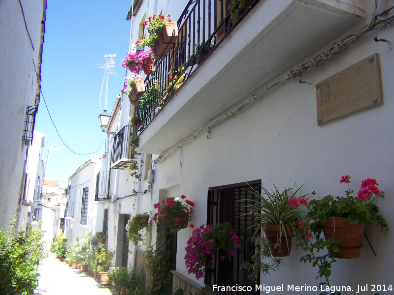 Calle Reverendo Pedro J Agudo - Calle Reverendo Pedro J Agudo. 