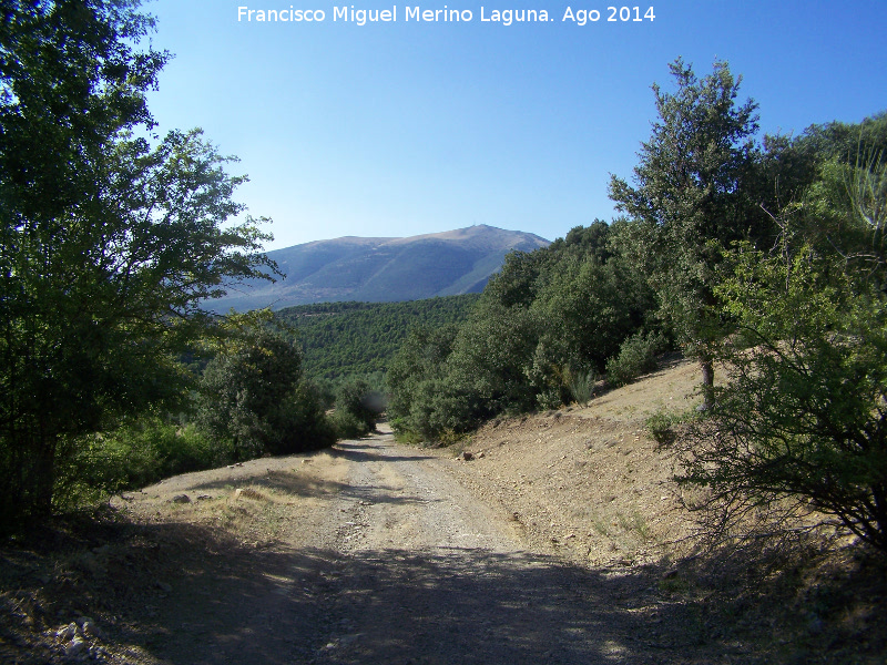 Sendero de Gibralberca - Sendero de Gibralberca. 