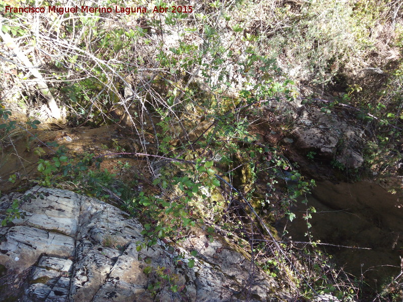 Arroyo de Navalayegua - Arroyo de Navalayegua. 