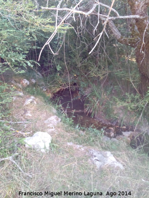 Arroyo del Tejo - Arroyo del Tejo. 