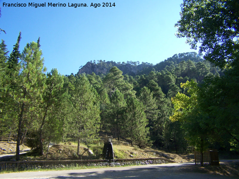 Fuente del Raso de la Honguera - Fuente del Raso de la Honguera. 