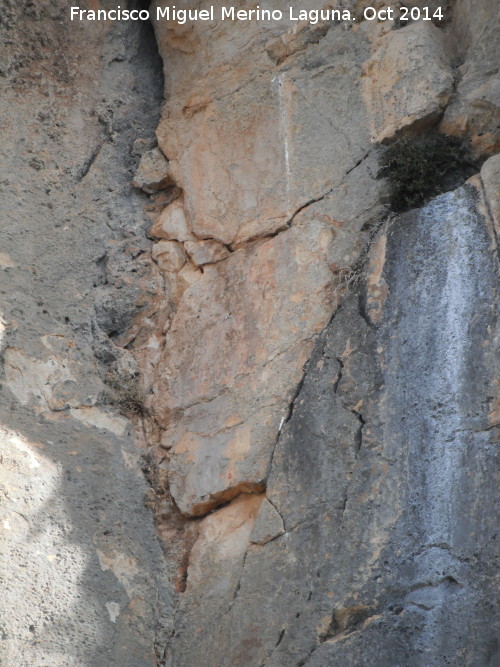 Pinturas rupestres de la Piedra Granadina I - Pinturas rupestres de la Piedra Granadina I. Segundo panel
