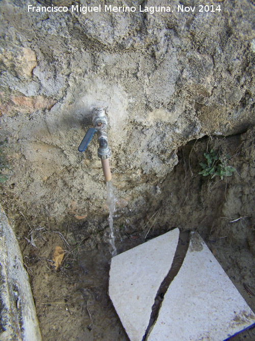 Fuente de la Camua - Fuente de la Camua. Grifo