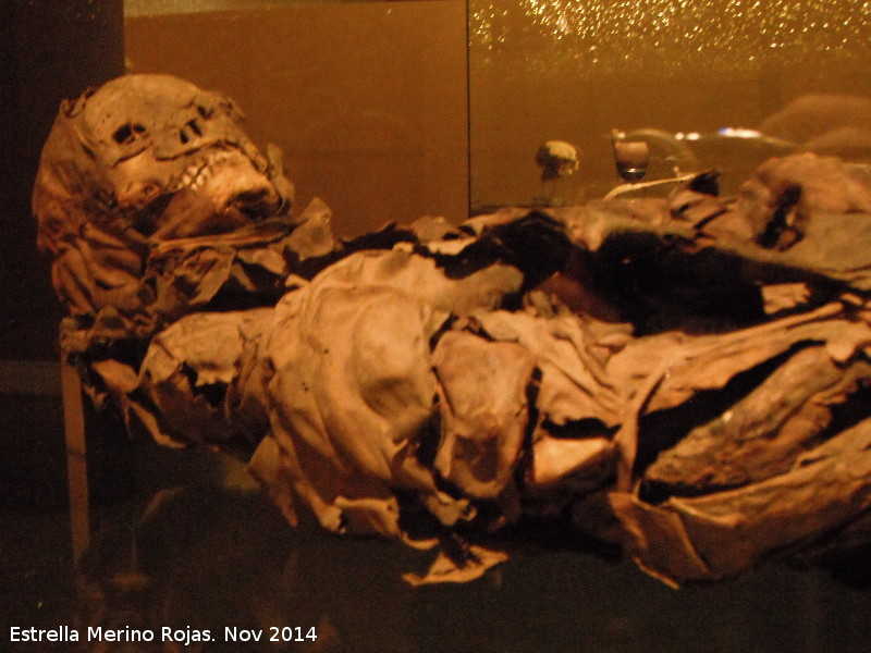 Museo Arqueolgico de Tenerife - Museo Arqueolgico de Tenerife. Momia Guanche
