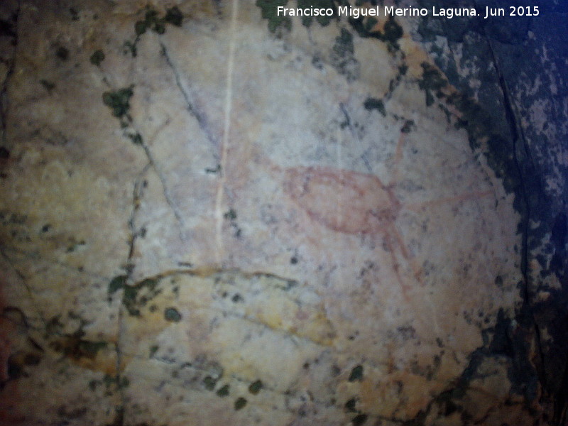 Pinturas rupestres del Prado del Azogue. Grupo II - Pinturas rupestres del Prado del Azogue. Grupo II. Pequeo zooformo