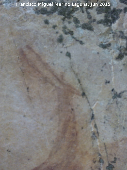 Pinturas rupestres del Prado del Azogue. Grupo II - Pinturas rupestres del Prado del Azogue. Grupo II. Cabeza de la cabra o ciervo superior