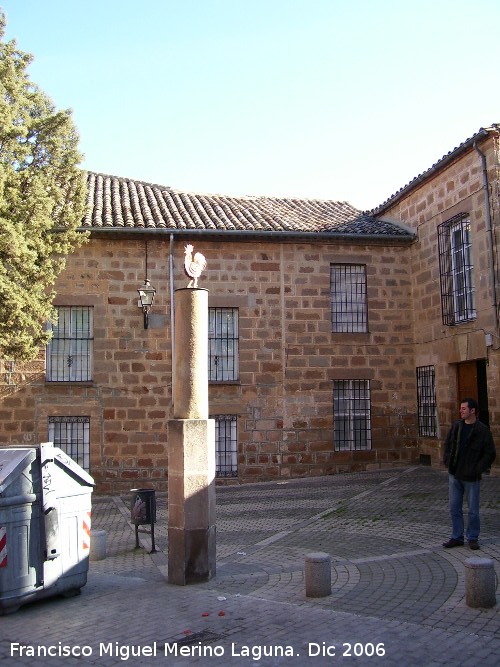 Plaza del Gallo - Plaza del Gallo. 