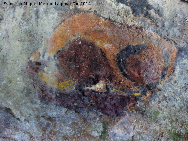 Pinturas rupestres falsas de la Cueva de la Solana - Pinturas rupestres falsas de la Cueva de la Solana. Bisonte