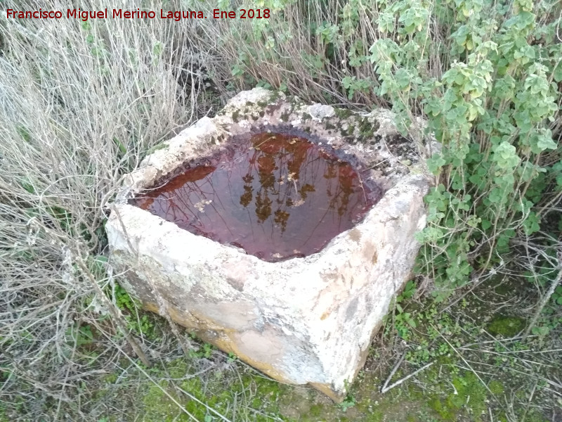 Yacimiento Ermita de San Bartolom - Yacimiento Ermita de San Bartolom. Pileta