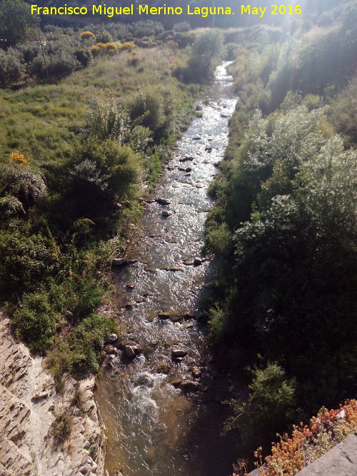 Ro Fro - Ro Fro. Desde el Puente Bajo