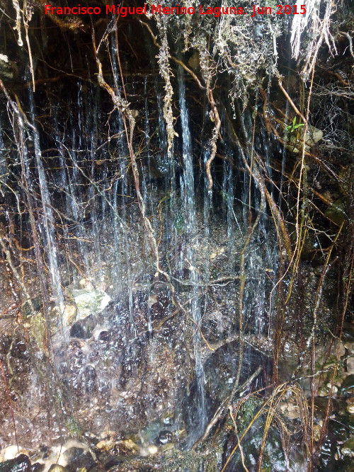 Nacimiento de Ro Fro - Nacimiento de Ro Fro. Rezumando agua