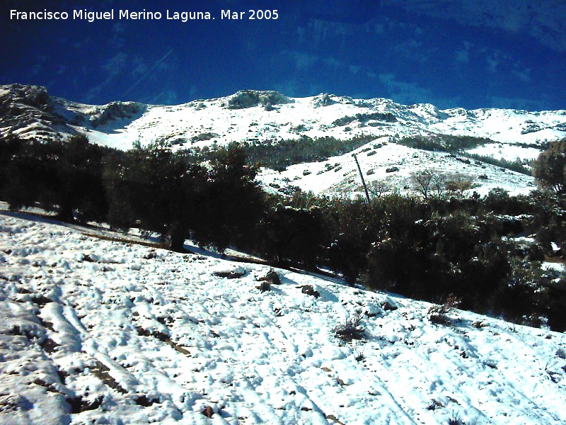 Loma del Toril - Loma del Toril. Desde la carretera a Jan