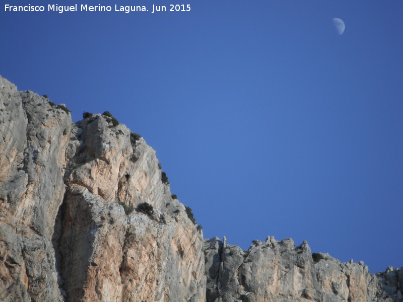 Cerro La Veleta - Cerro La Veleta. Con la Luna