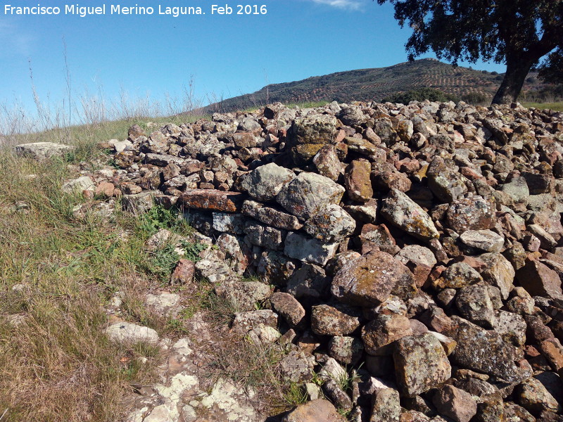 Yacimiento de la Loma del Santo - Yacimiento de la Loma del Santo. 