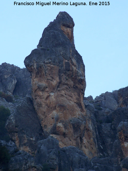 Monje de los Pollos - Monje de los Pollos. 