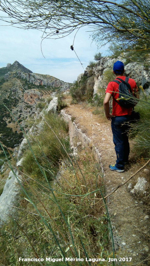 Camino de la Canalizacin - Camino de la Canalizacin. 