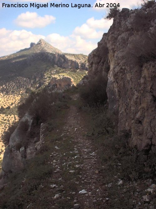 Camino de la Canalizacin - Camino de la Canalizacin. 