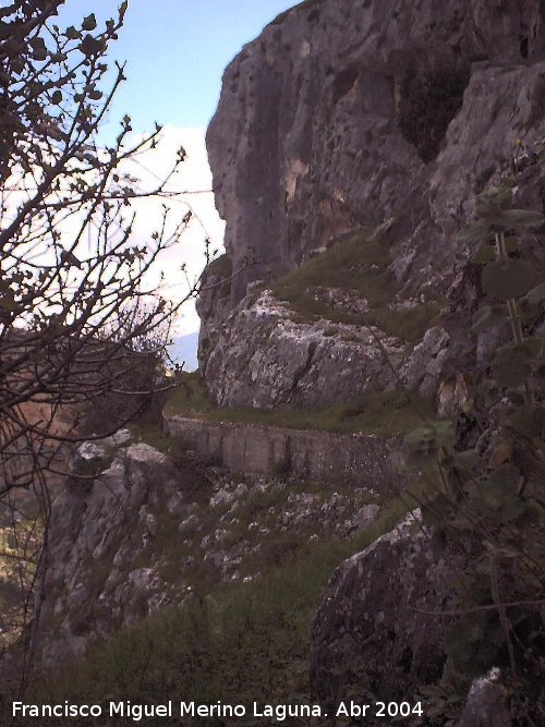 Camino de la Canalizacin - Camino de la Canalizacin. 