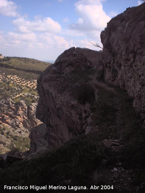 Camino de la Canalizacin - Camino de la Canalizacin. 