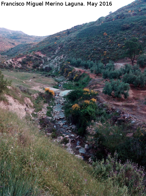 Arroyo Pedregoso - Arroyo Pedregoso. 