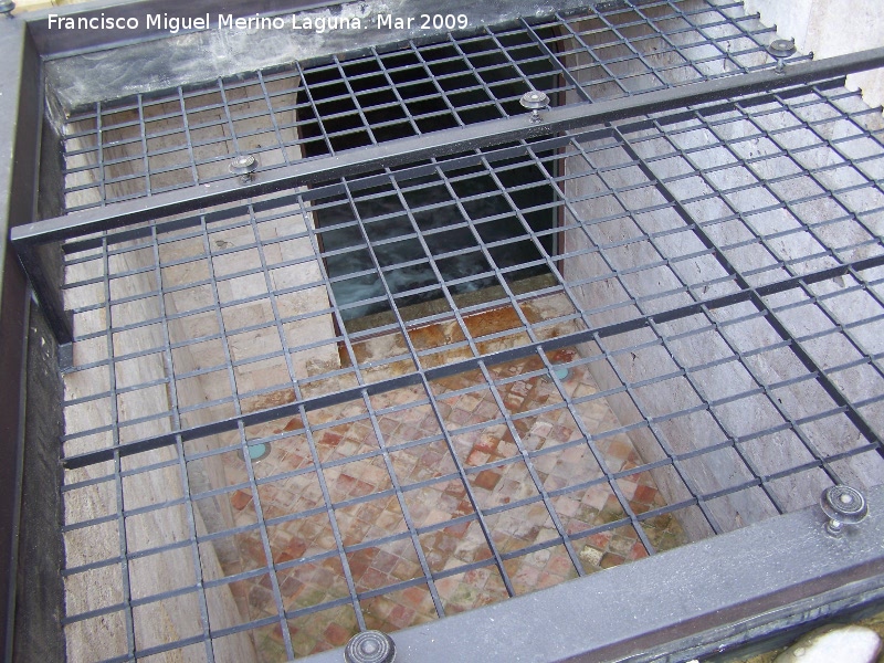 Palacio de los Se�ores De La Chica - Palacio de los Se�ores De La Chica. Foso