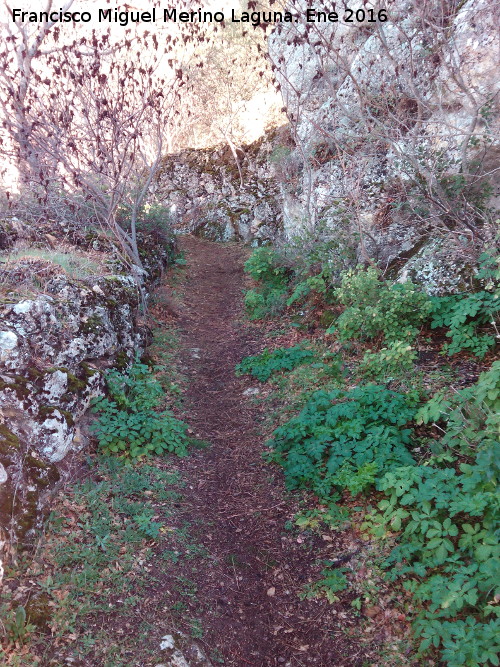 Camino de Corts - Camino de Corts. 