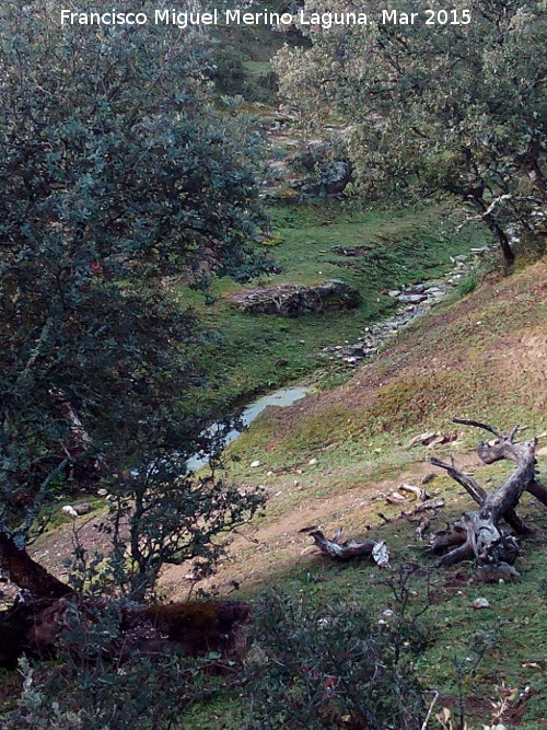 Arroyo del Cerro Meln - Arroyo del Cerro Meln. 
