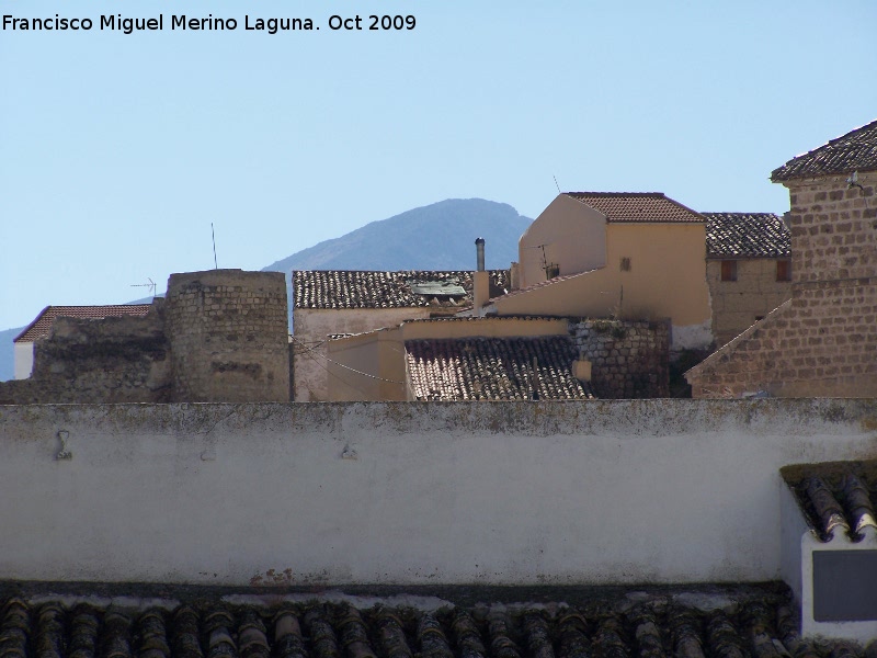 Castillo de las Peuelas - Castillo de las Peuelas. Los dos torreones circulares de su muralla