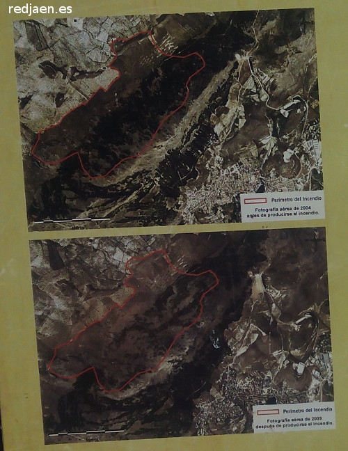 Serrezuela de Pegalajar - Serrezuela de Pegalajar. Zona del incendio
