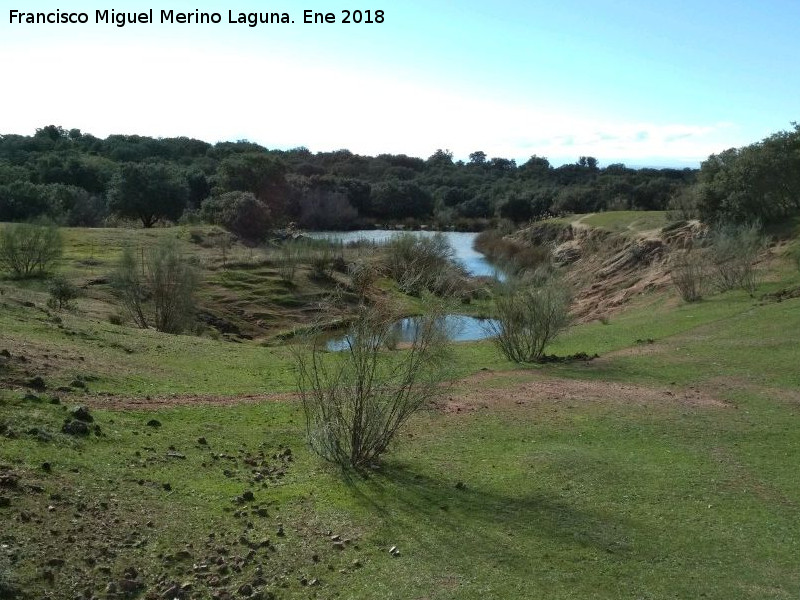 Laguna de Burguillos - Laguna de Burguillos. 