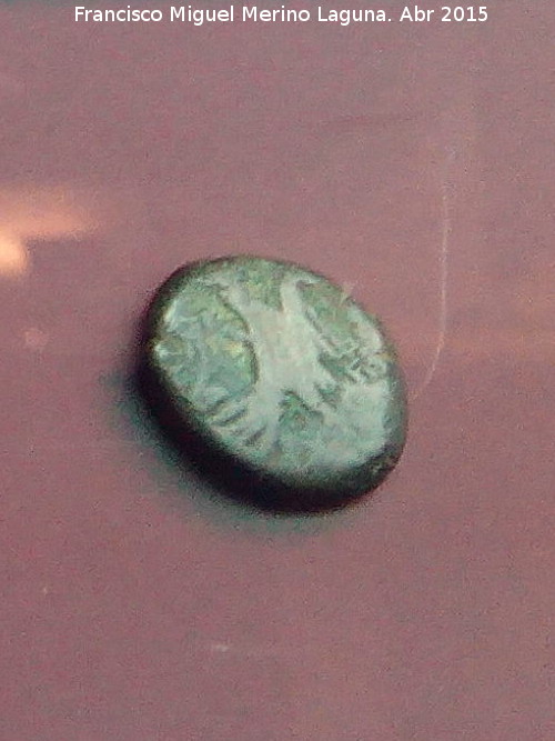 Obulco - Obulco. Moneda de Obulco. Museo Arqueolgico Provincial de Jan