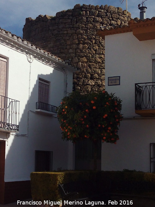 Castillo de las Canalejas - Castillo de las Canalejas. 