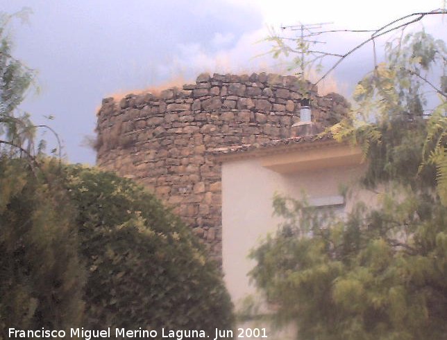 Castillo de las Canalejas - Castillo de las Canalejas. 