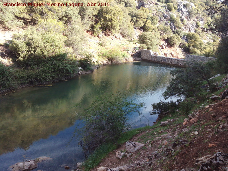 Presilla del Arroyo de Navalayegua - Presilla del Arroyo de Navalayegua. 