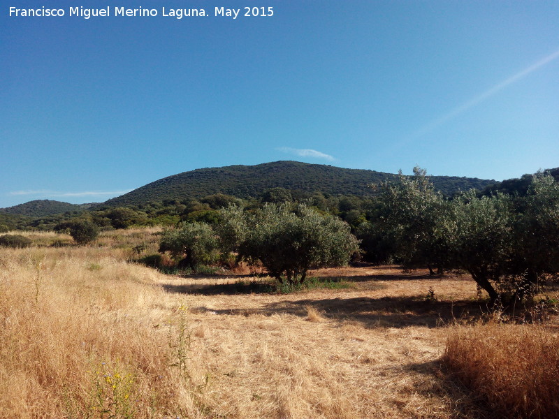 Loma de la Sarna - Loma de la Sarna. 